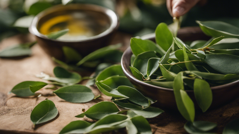 Aprenda como fazer chá de eucalipto de forma rápida e fácil